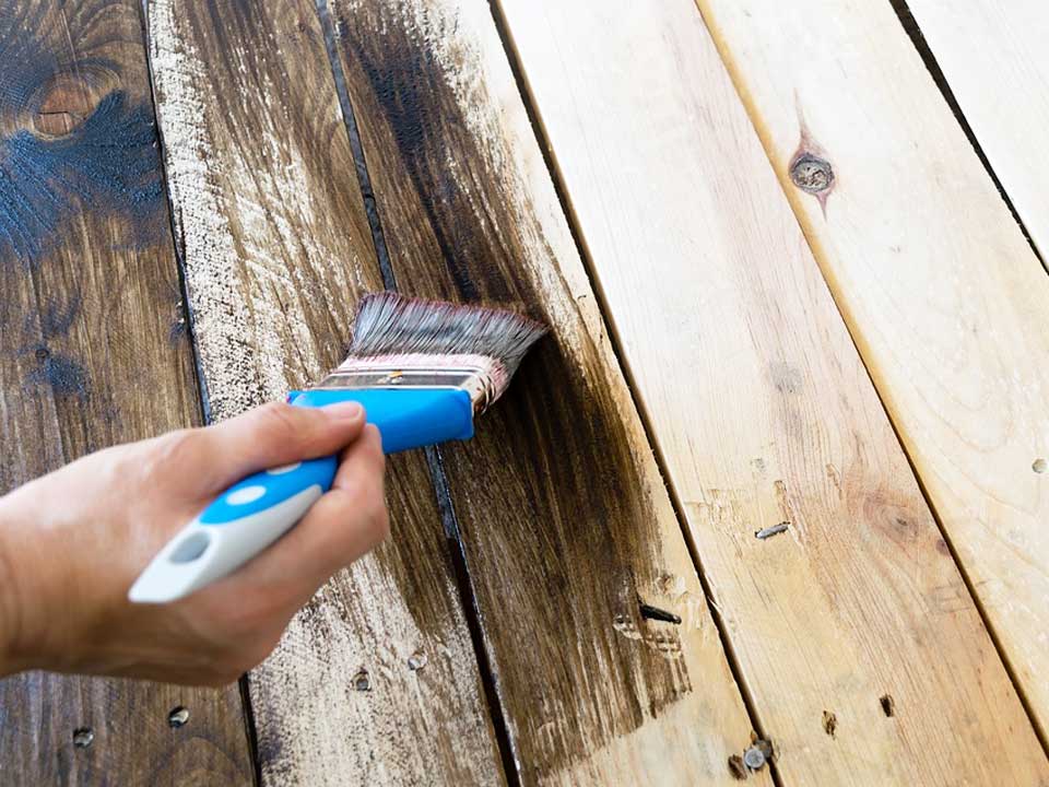 Will Painting Wood Prevent Termites? – Chem Free